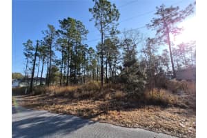 215 OAK LANE CIRCLE, OCALA, FL 34472 - MLS#MFROM718917