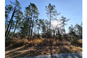 215 OAK LANE CIRCLE, OCALA, FL 34472 - MLS#MFROM718917