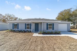 12418 102ND TERRACE, BELLEVIEW, FL 34420 - MLS#MFROM718925