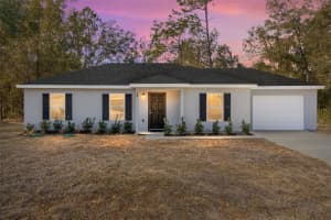20 LOCUST COURSE RADIAL, OCALA, FL 34472 - MLS#MFROM718927