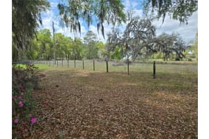 2327 CR 528, SUMTERVILLE, FL 33585 - MLS#MFROM718933