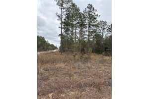 1159 REDWOOD DRIVE, DUNNELLON, FL 34431 - MLS#MFROM718935