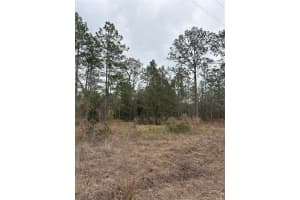 1159 REDWOOD DRIVE, DUNNELLON, FL 34431 - MLS#MFROM718935