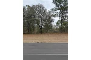 SW 135TH LOOP, OCALA, FL 34473 - MLS#MFROM718939