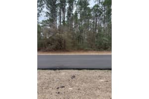 SW 135TH LOOP, OCALA, FL 34473 - MLS#MFROM718939