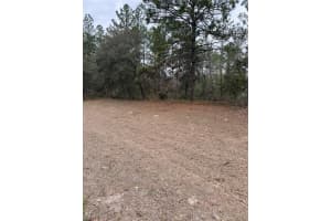 SW 135TH LOOP, OCALA, FL 34473 - MLS#MFROM718939