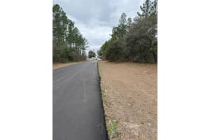 SW 135TH LOOP, OCALA, FL 34473 - MLS#MFROM718939