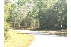 0 163RD STREET ROAD, OCALA, FL 34473 - MLS#MFROM718962