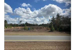 351 MARION OAKS BOULEVARD, OCALA, FL 34473 - MLS#MFROM718997