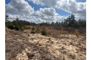 351 MARION OAKS BOULEVARD, OCALA, FL 34473 - MLS#MFROM718997