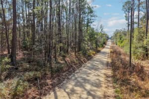 0 150 COURT, OCALA, FL 34481 - MLS#MFROM719015