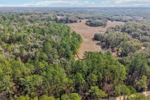 0 150 COURT, OCALA, FL 34481 - MLS#MFROM719015