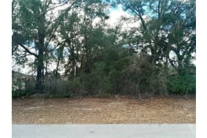 00 28 TERRACE ROAD, OCALA, FL 34473 - MLS#MFROM719028