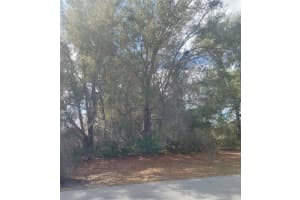 00 28 TERRACE ROAD, OCALA, FL 34473 - MLS#MFROM719028
