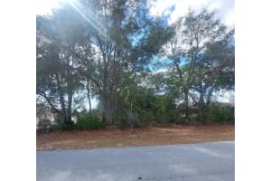 00 28 TERRACE ROAD, OCALA, FL 34473 - MLS#MFROM719028