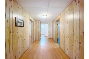 113 ROSEMARY AVENUE, LADY LAKE, FL 32159 - MLS#MFROM719034