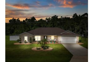 15136 93RD AVENUE, SUMMERFIELD, FL 34491 - MLS#MFROM719040