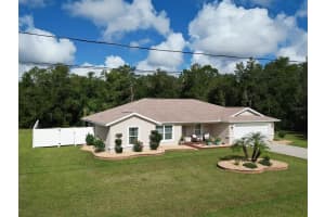 15136 93RD AVENUE, SUMMERFIELD, FL 34491 - MLS#MFROM719040