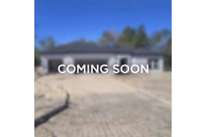 14908 63RD COURT ROAD, OCALA, FL 34473 - MLS#MFROM719041