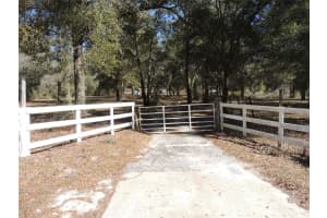 4551 138TH TERRACE, MORRISTON, FL 32668 - MLS#MFROM719044