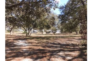 4551 138TH TERRACE, MORRISTON, FL 32668 - MLS#MFROM719044