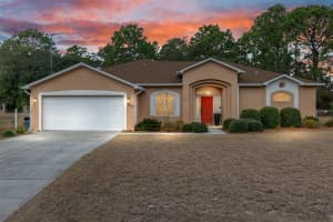 8290 RONDA DRIVE, CITRUS SPRINGS, FL 34433 - MLS#MFROM719046