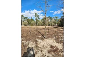 13105 91ST PLACE, DUNNELLON, FL 34432 - MLS#MFROM719108