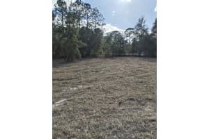 13105 91ST PLACE, DUNNELLON, FL 34432 - MLS#MFROM719108