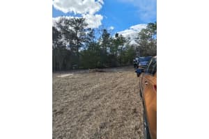 13105 91ST PLACE, DUNNELLON, FL 34432 - MLS#MFROM719108