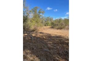 NW 7TH ST, OCALA, FL 34482 - MLS#MFROM719128