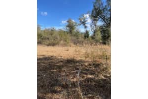 NW 7TH ST, OCALA, FL 34482 - MLS#MFROM719128