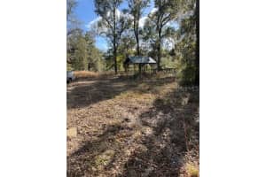 NW 7TH ST, OCALA, FL 34482 - MLS#MFROM719128