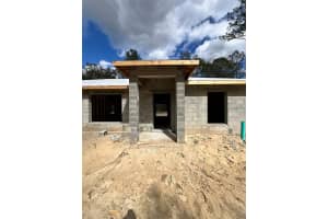 3 GUAVA PASS RUN, OCKLAWAHA, FL 32179 - MLS#MFROM719149