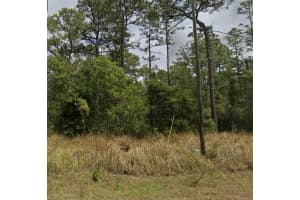 0 BAHIA TERRACE DRIVE, OCALA, FL 34472 - MLS#MFROM719151