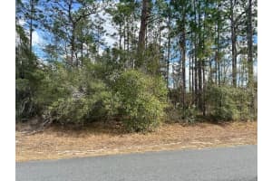 0 SW 129TH PL, OCALA, FL 34473 - MLS#MFROM719174
