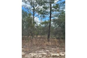 MLS# MFROM719238, Ocala, Florida 34481