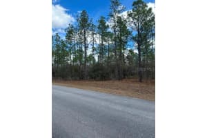 MLS# MFROM719239, Dunnellon, Florida 34431