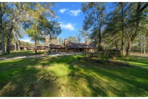 3551 E HIGHWAY 329, ANTHONY, FL 32617 - MLS#MFROM719291