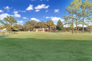 8038 162ND COURT, MORRISTON, FL 32668 - MLS#MFROM719294