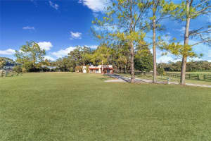 8038 162ND COURT, MORRISTON, FL 32668 - MLS#MFROM719294