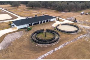 6170 135TH AVENUE, MORRISTON, FL 32668 - MLS#MFROM719304