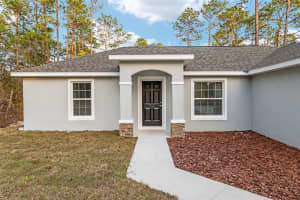 1031 BUENA VISTA ROAD, DUNNELLON, FL 34431 - MLS#MFROM719307