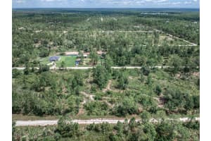 3341 & 3343 PHEASANT AVENUE, LAKE PLACID, FL 33852 - MLS#MFROM719325