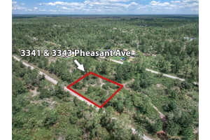 3341 PHEASANT AVENUE, LAKE PLACID, FL 33852 - MLS#MFROM719326