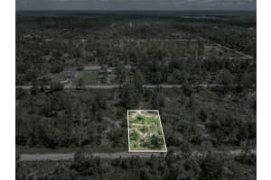 3341 PHEASANT AVENUE, LAKE PLACID, FL 33852 - MLS#MFROM719326