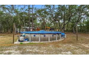 12051 14TH STREET, WILLISTON, FL 32696 - MLS#MFROM719350