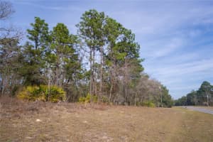 2173 CITRUS SPRINGS BOULEVARD, CITRUS SPRINGS, FL 34434 - MLS#MFROM719363