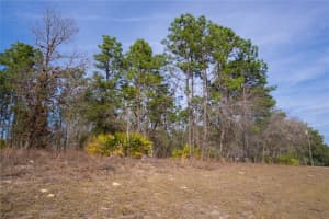 2173 CITRUS SPRINGS BOULEVARD, CITRUS SPRINGS, FL 34434 - MLS#MFROM719363