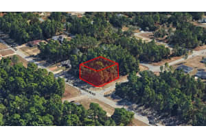 7391 CRICKET DRIVE, CITRUS SPRINGS, FL 34434 - MLS#MFROM719364