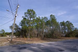 7391 CRICKET DRIVE, CITRUS SPRINGS, FL 34434 - MLS#MFROM719364